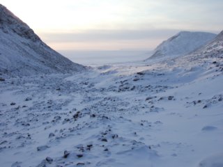 thelongwaydowntogrisefiord.jpg