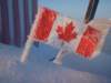 tinyfrostycanadianflag_small.jpg