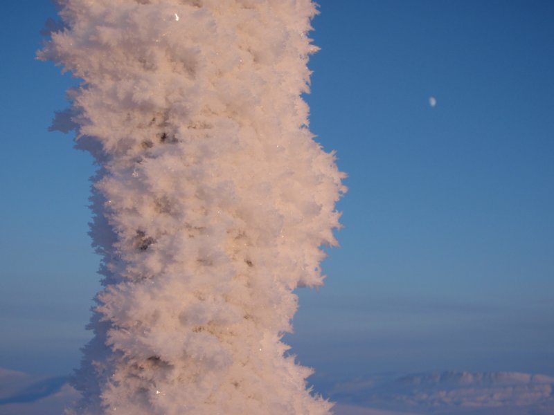 snowpole.jpg