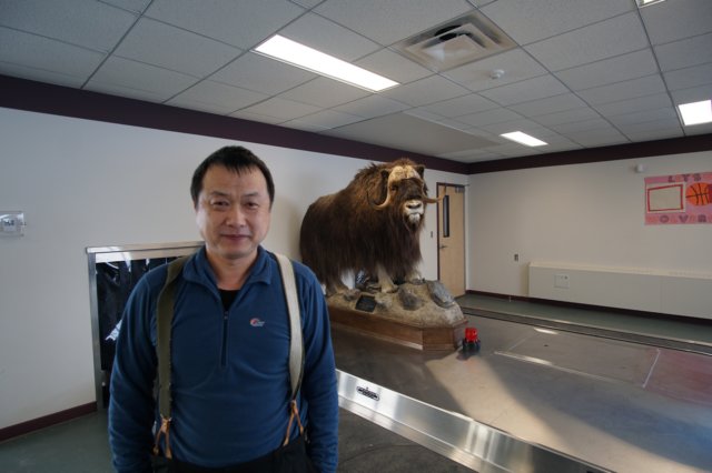 xinwiththemuskoxinresolutebay.jpg