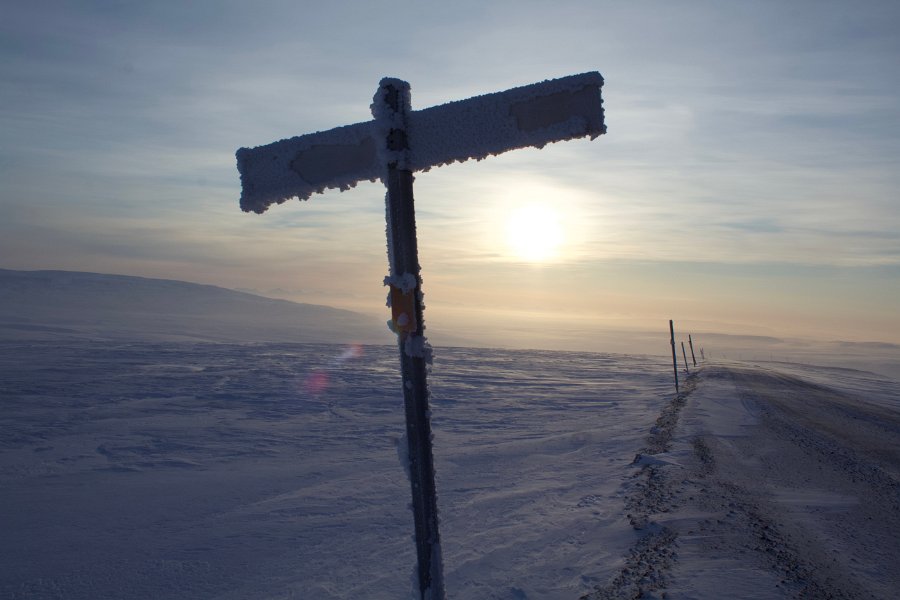 After wind frost 