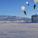 Petra, Darby, and Kevin fly away